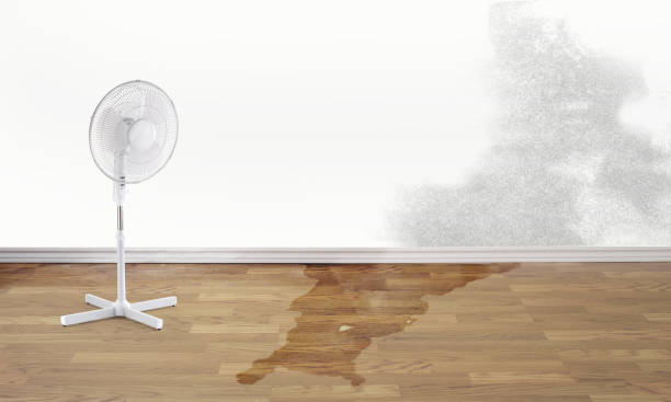 Best Ceiling water damage repair  in Sherwood, OH
