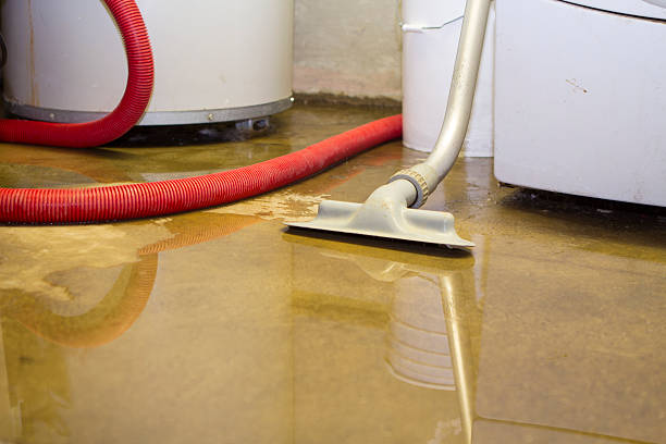 Best 24-hour water damage restoration  in Sherwood, OH