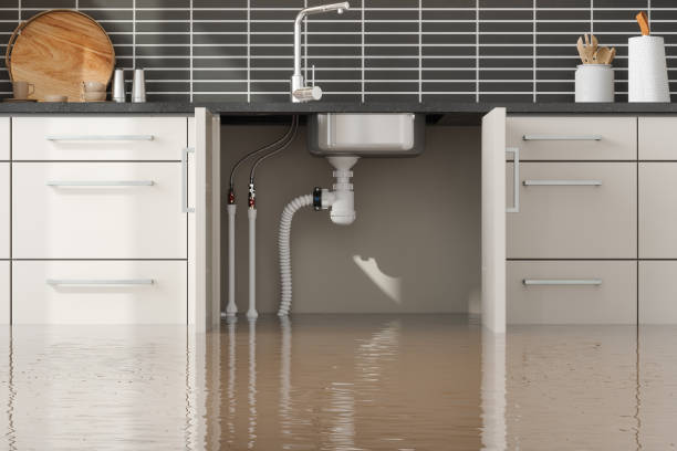  Sherwood, OH Water damage restoration Pros