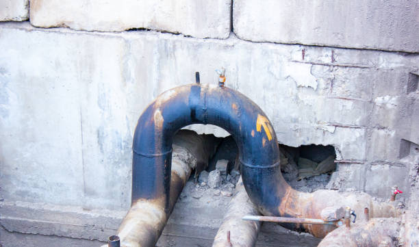 Best Carpet water damage restoration  in Sherwood, OH
