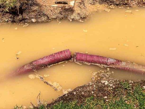 Best Carpet water damage restoration  in Sherwood, OH